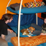Discover the Purrfect Seattle Pet Hotel Run by a Cat-Loving Couple